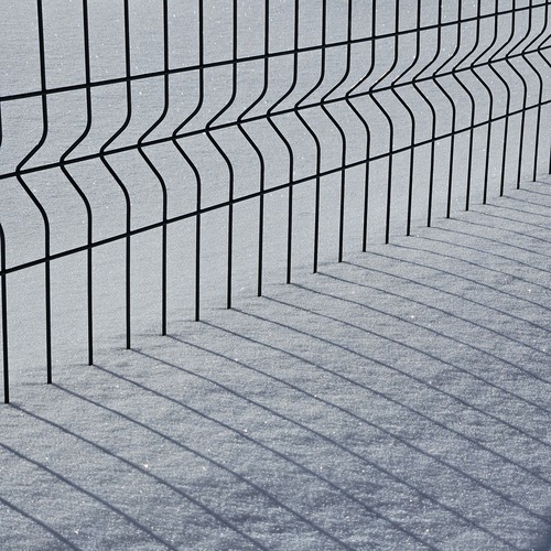Photo #13926474