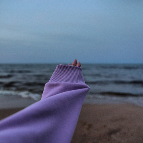 Photo #13926497