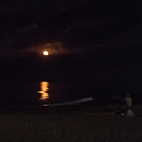 Photo #13926504
