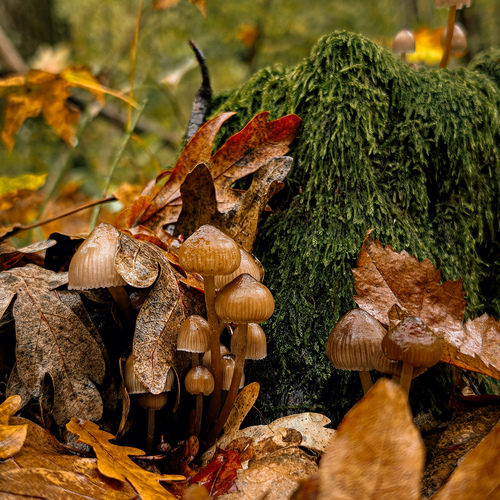 Photo #13926564
