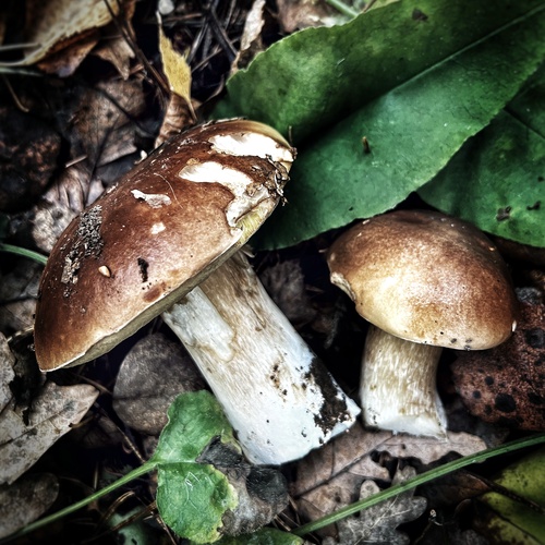 Photo #13926584