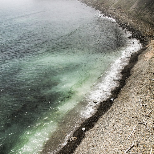 Photo #13926676