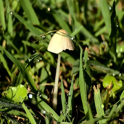 Photo #13926918