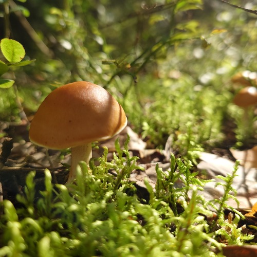 Photo #13927025