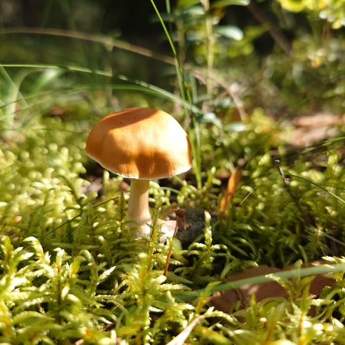 Photo #13927026