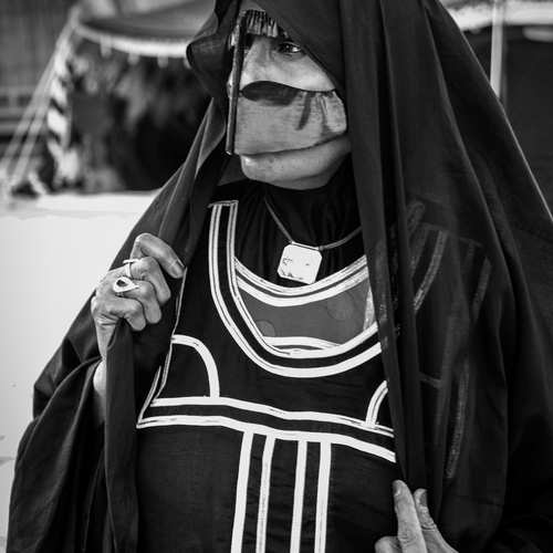 Photo #13927062