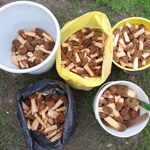 Photo #13927063