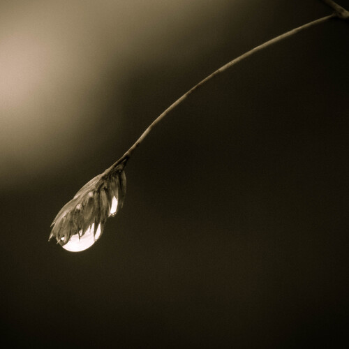 Photo #13927137