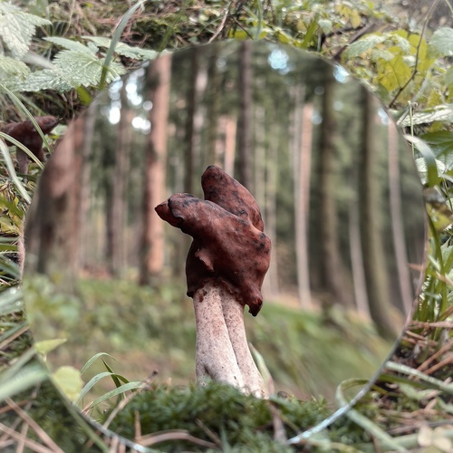 Photo #13927168