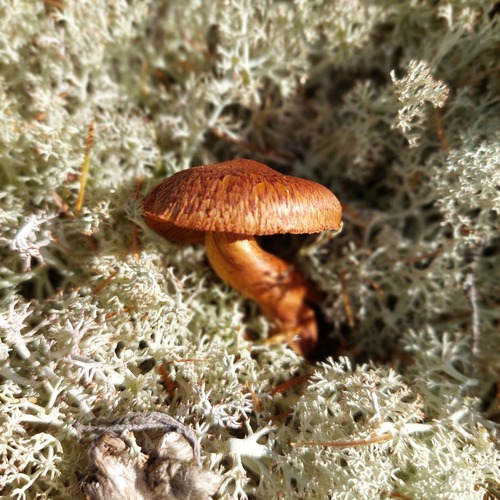 Photo #13927319