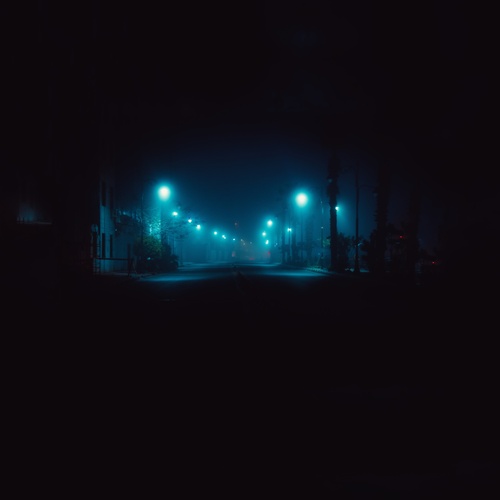 Photo #13927449