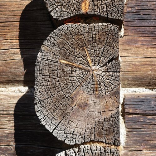 Photo #13927524