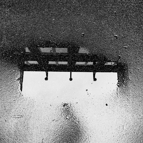 Photo #13927529