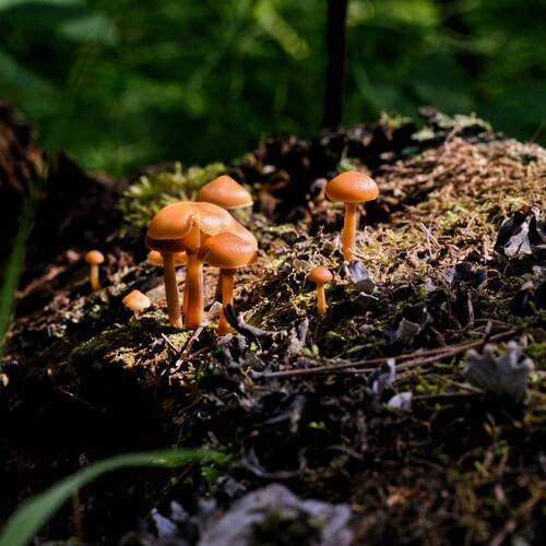 Photo #13927541