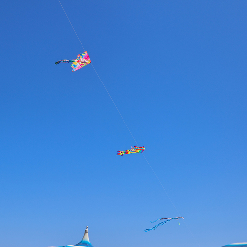 Photo #13927570