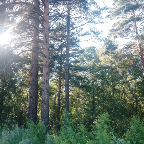 Photo #13927584
