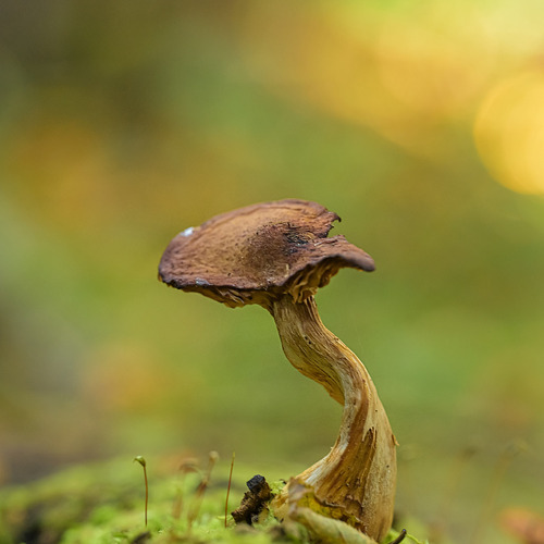 Photo #13927693