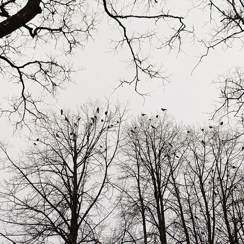 Photo #13927742