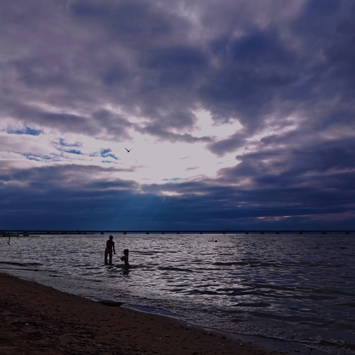 Photo #13927772