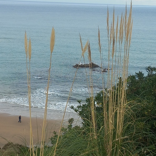 Photo #13927883