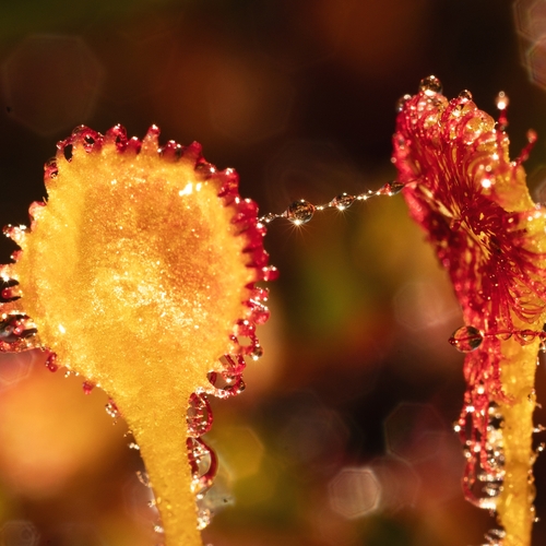 Photo #13927928