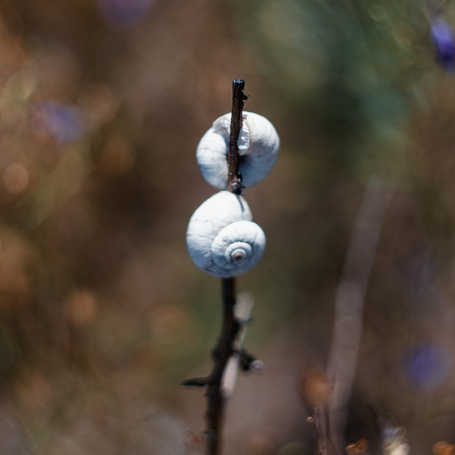 Photo #13928038