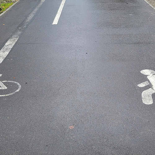 Photo #13928227