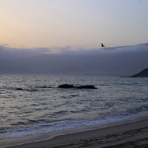 Photo #13928238
