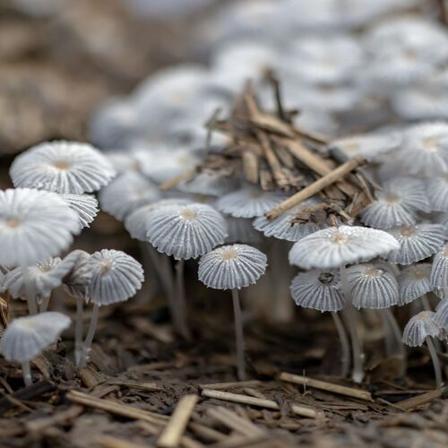 Photo #13928272