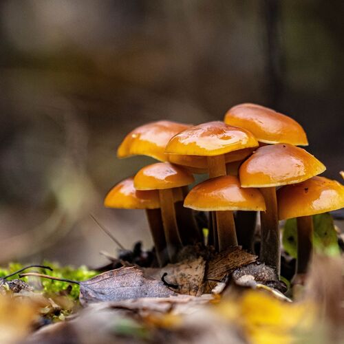 Photo #13928274