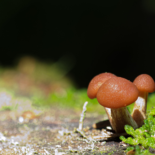 Photo #13928424