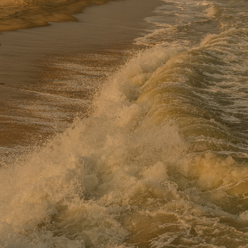 Photo #13928428