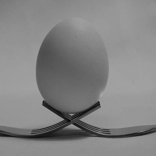 Photo #13928441