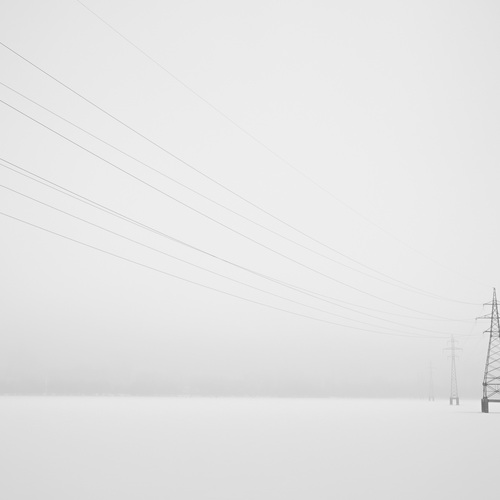 Photo #13928469