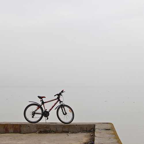 Photo #13928536