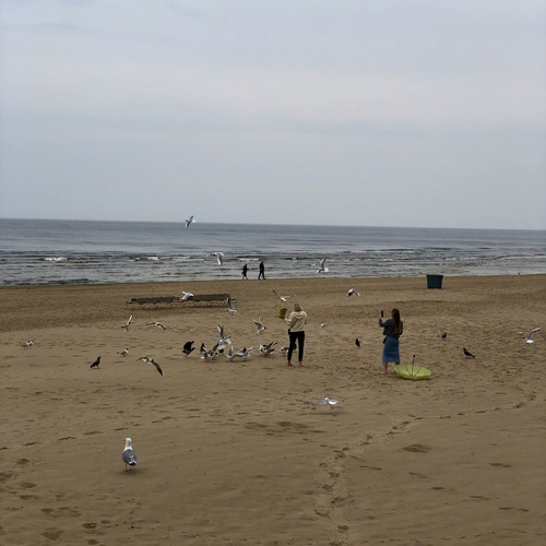 Photo #13928744