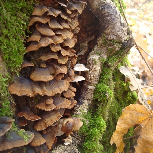 Photo #13928748
