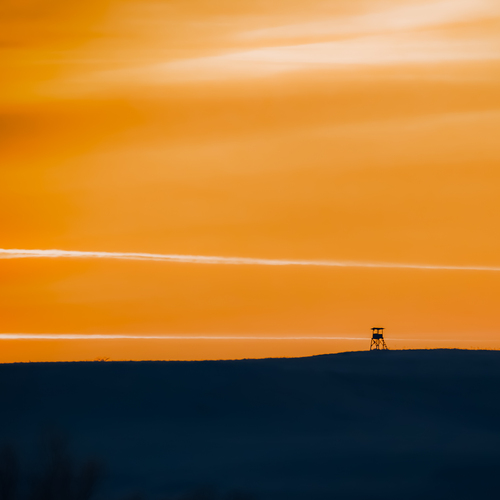 Photo #13928752