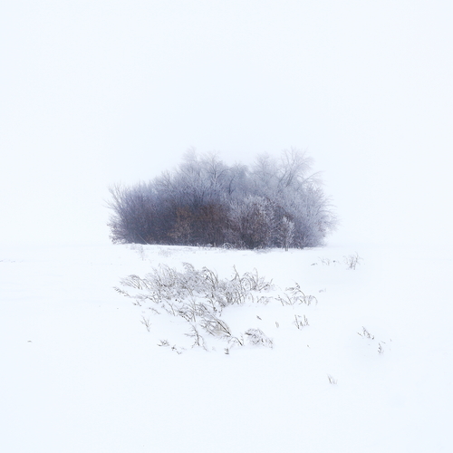 Photo #13928971