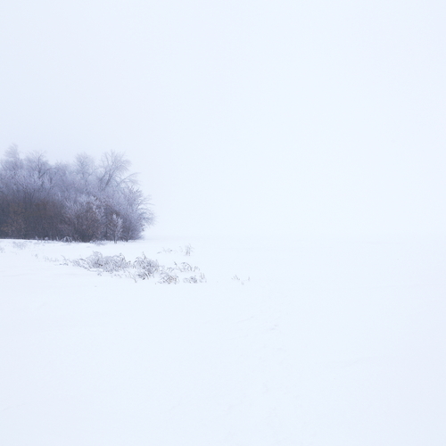 Photo #13928972