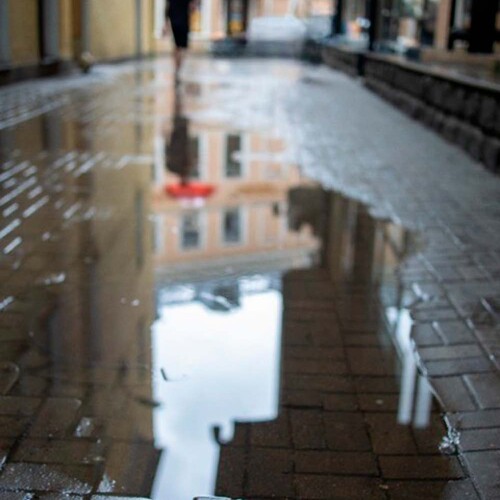 Photo #13928994