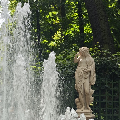 Photo #13929074