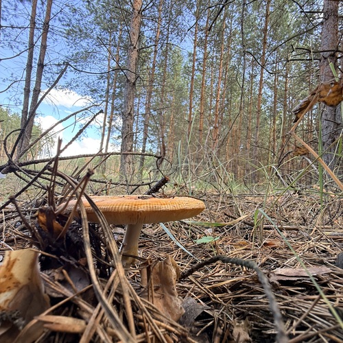 Photo #13929139