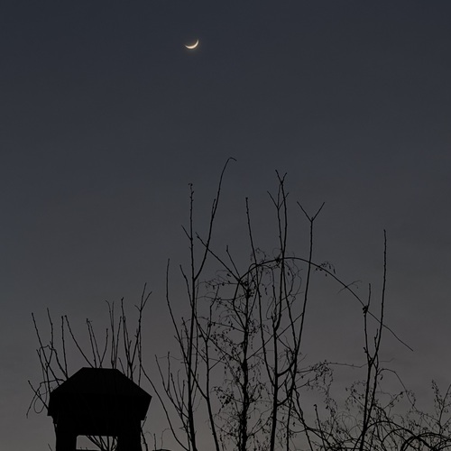Photo #13929169