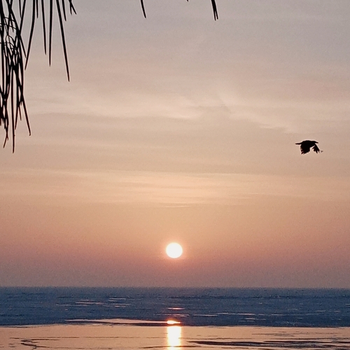 Photo #13929231