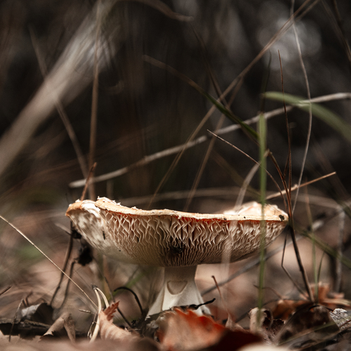 Photo #13929238