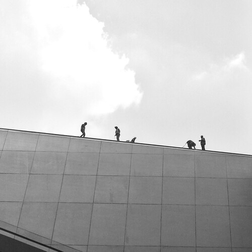 Photo #13929307