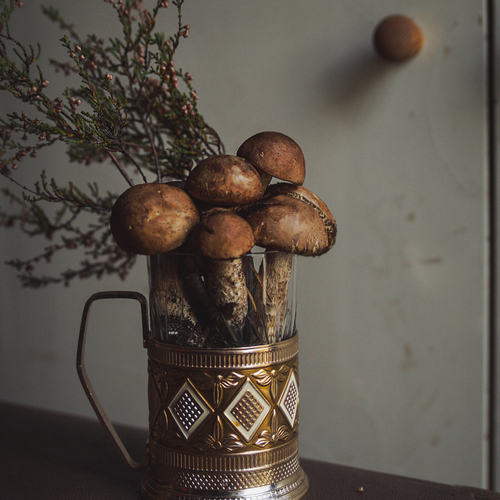 Photo #13929371