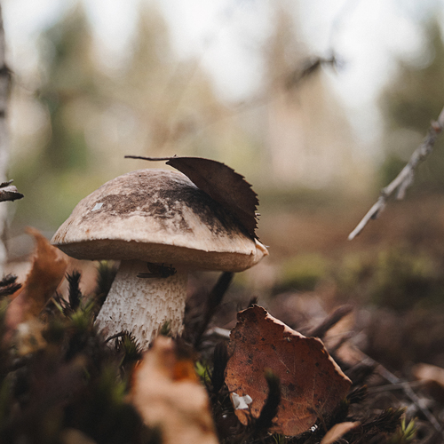 Photo #13929372