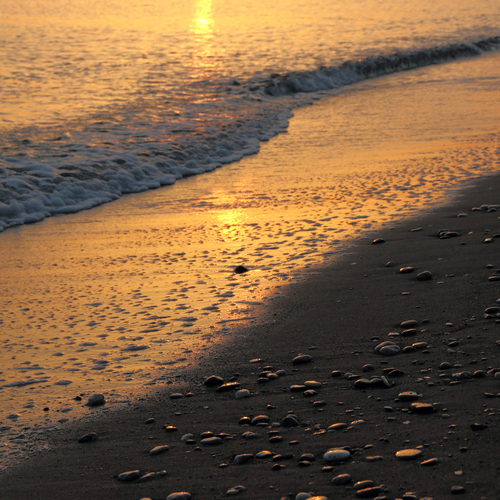 Photo #13929381